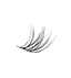 "So Oolong" Lash