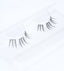 "In the Limelight" lash